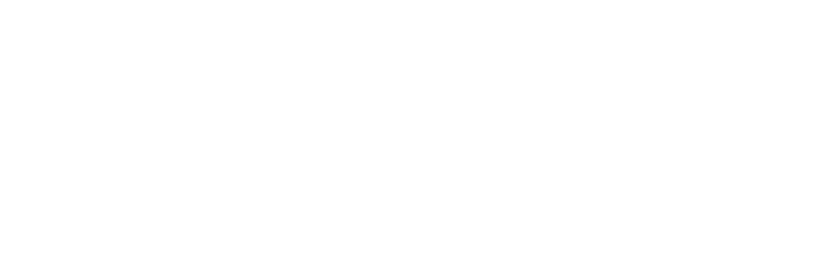 DaSci.de - Journey of Data Science